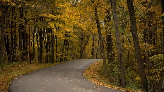 Fall Color Drives in Michigan